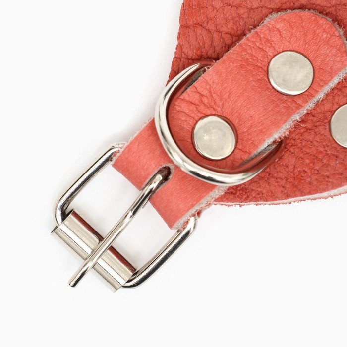 Намордник регулируемый из мягкой кожи, размер № 4, ДН 7-9 см, ОМ 22-25 см, коричневый Намордник регулируемый из мягкой кожи, размер № 4, ДН 7-9 см, ОМ 22-25 см, коричневый