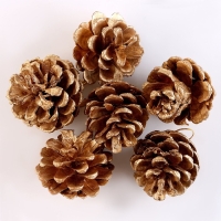 Новый год! Набор декоративных шишек, 6 шт., в золотом цвете, 17,5 &times; 11,5 &times; 6 см