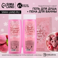 Подарочный набор косметики новогодний &laquo;Верь в мечту&raquo;, гель для душа и пена для ванны, 2 х 250 мл, Новый Год