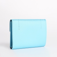 Кошелёк женский на кнопке, цвет голубой Кошелёк женский на кнопке, цвет голубой