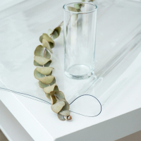 Термоскатерть без основы Доляна «Жидкое стекло», ширина 120 см, общая толщина 0,8 мм, рулон 80 м Термоскатерть без основы Доляна «Жидкое стекло», ширина 120 см, общая толщина 0,8 мм, рулон 80 м