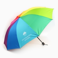 Зонт женский радужный &laquo;Наслаждаюсь дождём&raquo;, 10 спиц.