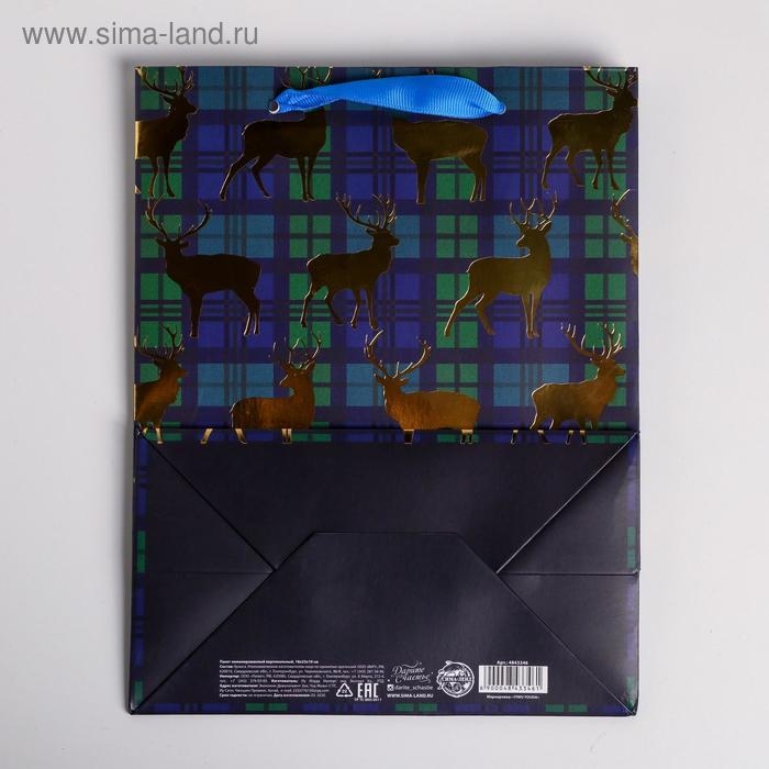 Пакет подарочный новогодний ламинированный «Стильный», MS 18 х 23 х 10 см, Новый год Пакет подарочный новогодний ламинированный «Стильный», MS 18 х 23 х 10 см, Новый год