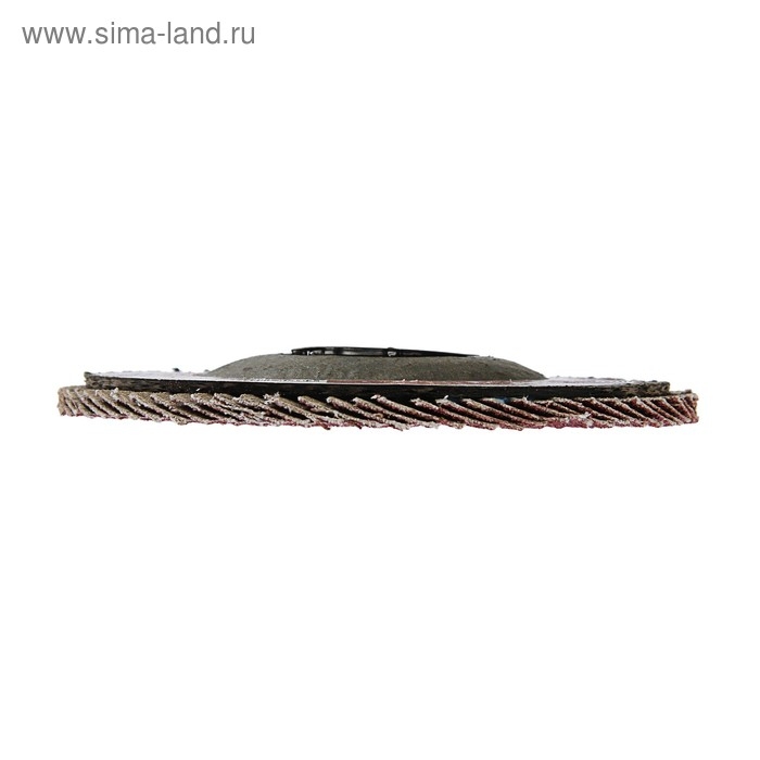 Круг лепестковый торцевой ЛОМ, 115 х 22 мм, Р100 Круг лепестковый торцевой ЛОМ, 115 х 22 мм, Р100