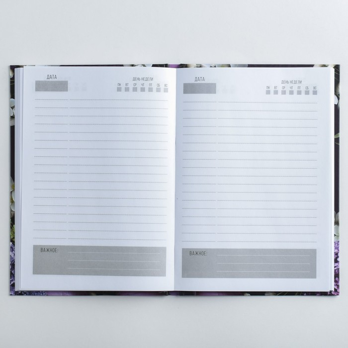 Подарочный набор &laquo;Для лучшей учительницы&raquo;: ежедневник А5, 80 листов, планер с отрывными листами, 50 листов