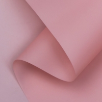 Пленка матовая, "PASTEL", Сливовый 0,59 х 7 м 180гр Пленка матовая, "PASTEL", Сливовый 0,59 х 7 м 180гр
