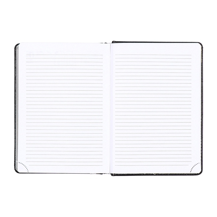 Ежедневник датированный 2025 года, deVENTE. Flag, B5 168 листов, deVENTE.Barbara, твердая обложка кожзам с поролоном, перфорация, ляссе, блок 70 г/м2, темно-синий