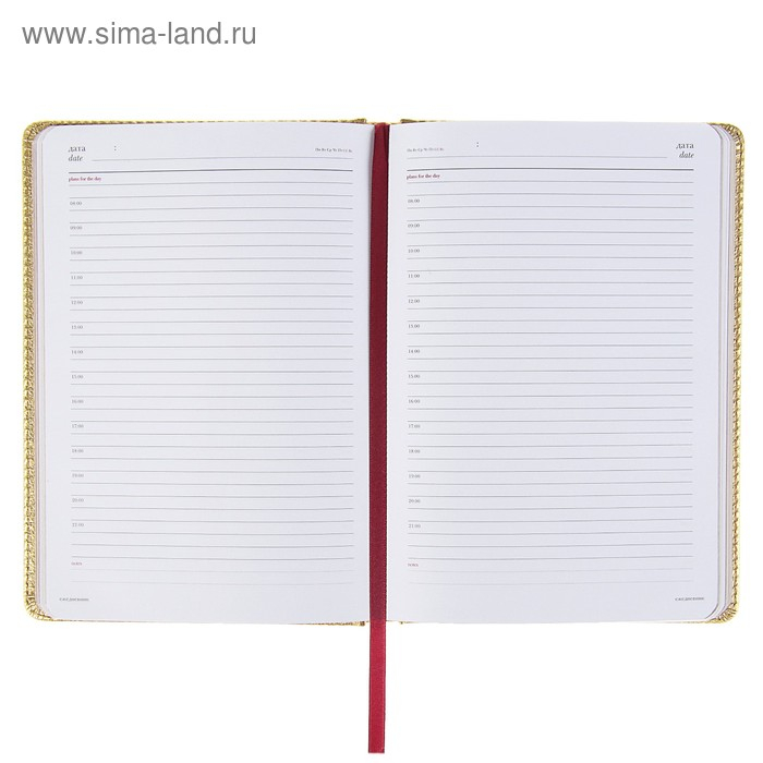 Ежедневник недатированный А5+, 136 листов Sidney Nebraska, твёрдая обложка, искусственная кожа, золотой срез, золото