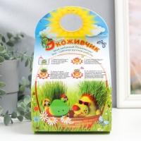 Растущий подарок травка "Обезьяна" Растущий подарок травка "Обезьяна"