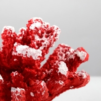 Интерьерный сувенир "Коралл" 13х11х8см микс