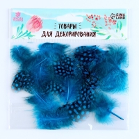 Набор перьев для декора 10 шт., размер 1 шт: 5 × 2 см, цвет бирюзовый с чёрным Набор перьев для декора 10 шт., размер 1 шт: 5 × 2 см, цвет бирюзовый с чёрным