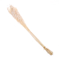 Сухоцвет &laquo;Овёс посевной&raquo;, белый, 50 г в упаковке