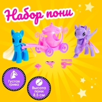 Набор пони «Милашка» 2 шт., с аксессуарами, цвета МИКС Набор пони «Милашка» 2 шт., с аксессуарами, цвета МИКС
