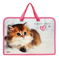 Папка с ручками А4, 340 х 245 х 40 мм, пластиковая, ручки-тесьма, Оникс ПТ-14 Cute kitty Папка с ручками А4, 340 х 245 х 40 мм, пластиковая, ручки-тесьма, Оникс ПТ-14 Cute kitty