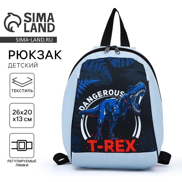 Рюкзак школьный детский для мальчика «Динозавр», 20х13х26, отд на молнии, цвет голубой Рюкзак школьный детский для мальчика «Динозавр», 20х13х26, отд на молнии, цвет голубой