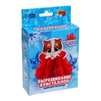 Выращивание кристаллов. Опыты. Лучистый кристалл &laquo;Котёнок&raquo;