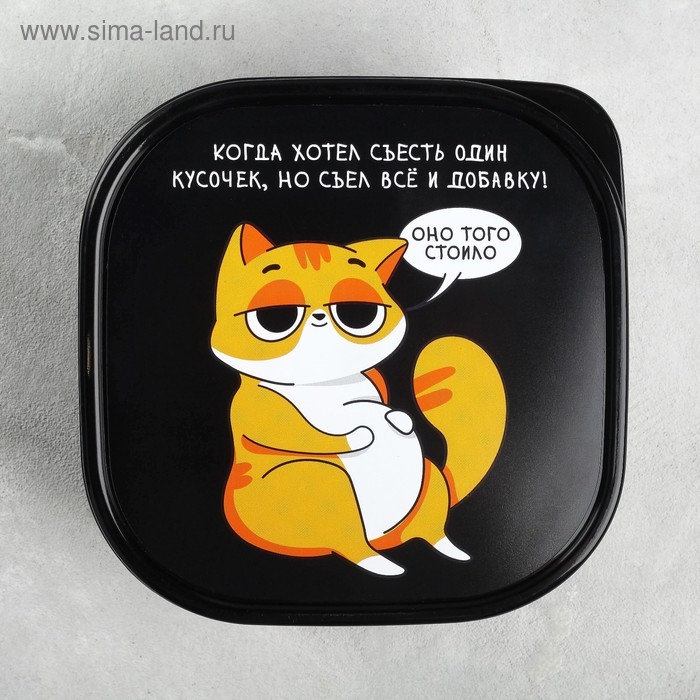 Ланч-бокс &laquo;Кот&raquo;, 700 мл