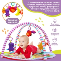 Развивающий коврик с дугами &laquo;Ежик на прогулке&raquo;, 70x70 см, Крошка Я