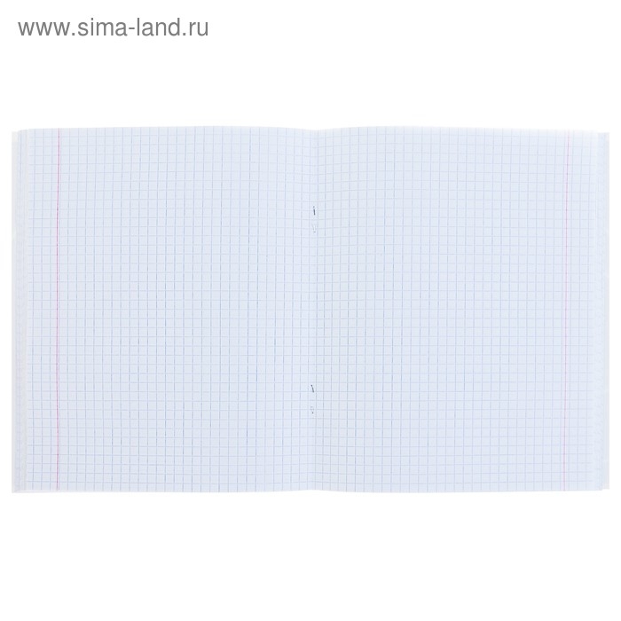 Тетрадь 96 листов в клетку Calligrata Тетрадь 96 листов в клетку Calligrata "Неон", обложка мелованный картон, блок офсет, МИКС