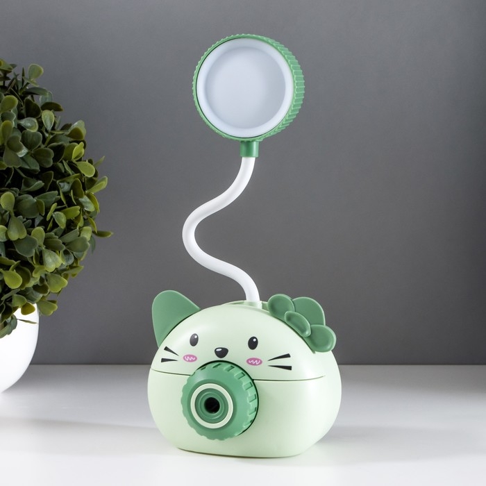 Лампа настольная "Дели" LED 2 режима 2Вт USB зеленый 11,7х7х12 см RISALUX