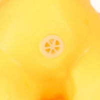 Резиновая игрушка для ванны &laquo;Динозавр: Тираннозавр&raquo;, 22 см, с пищалкой, Крошка Я