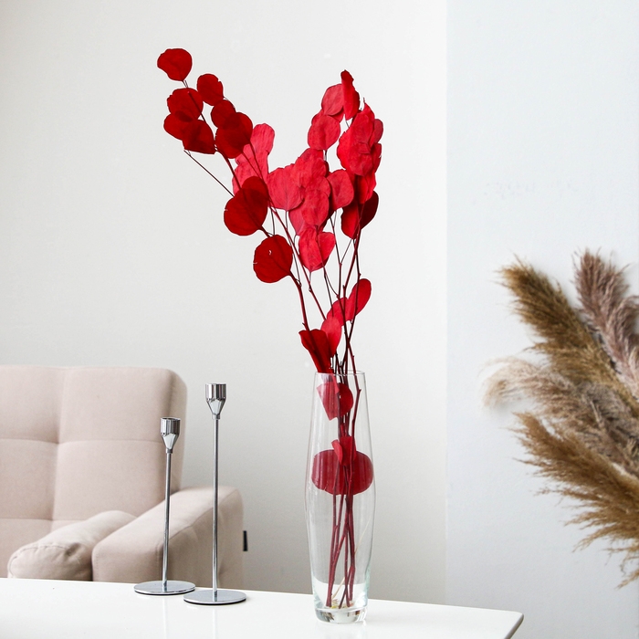 Сухоцвет персикого дерева, 50 г, длина &mdash; 70 см, цвет красный