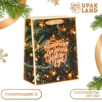 Пакет ламинированный &laquo;Волшебного и сказочного нового года&raquo;, MS 18 &times; 23 &times; 10 см