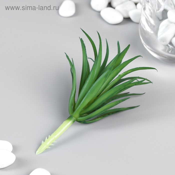 Искусственный суккулент для создания флорариума "Гастерия трехгранная" 7 см