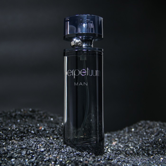 Парфюмерная вода мужская Перпетум, 100 мл Парфюмерная вода мужская Перпетум, 100 мл