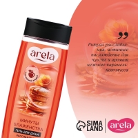 Гель для душа женский &laquo;Минуты блаженства&raquo;, 250 мл, аромат карамельного мусса, ARELA
