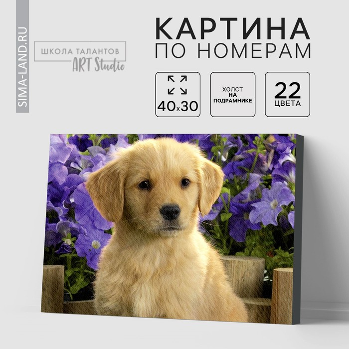 Картина по номерам на холсте с подрамником &laquo;Щенок лабрадора&raquo;, 40х30 см