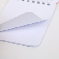 Набор &laquo;С 8 Мяута&raquo;: блокнот и ручка пластик