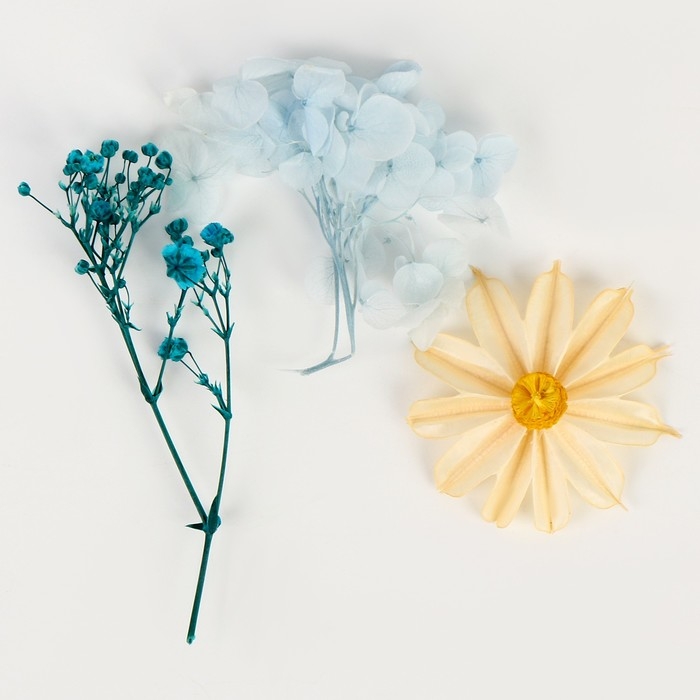 Набор сухоцветов &laquo;Лето на побережье&raquo;