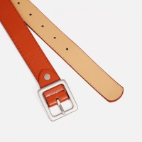 Ремень женский, ширина 2,8 см, винт, пряжка металл, цвет рыжий Ремень женский, ширина 2,8 см, винт, пряжка металл, цвет рыжий