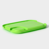 Блюдо для шашлыка с соусницей 30,3×21×2,5 см, цвет салатовый Блюдо для шашлыка с соусницей 30,3×21×2,5 см, цвет салатовый