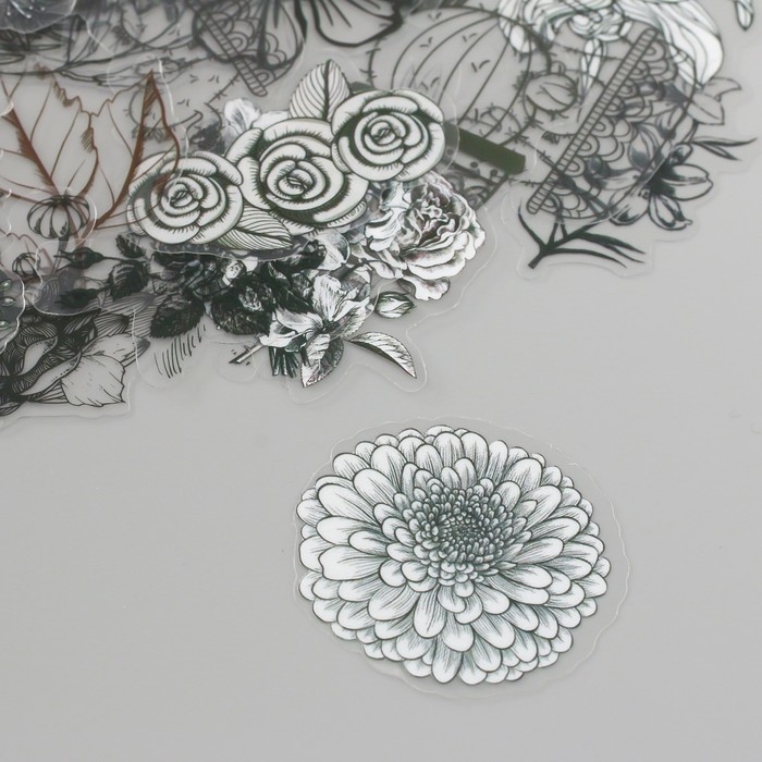 Наклейки для творчества пластик PVC "Эскизы растений" набор 60 шт 10х14 см