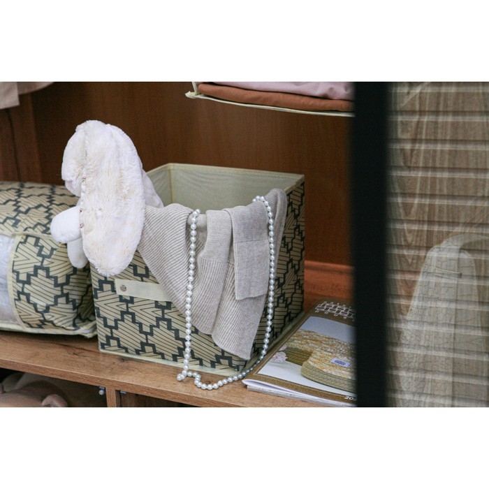 Короб стеллажный для хранения Доляна &laquo;Гэтс&raquo;, 25&times;25&times;25 см, цвет бежевый