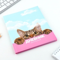 Дневник школьный 1-11 класс универсальный «1 сентября:Котик», твердая обложка 7БЦ, глянцевая ламинация, 40 листов Дневник школьный 1-11 класс универсальный «1 сентября:Котик», твердая обложка 7БЦ, глянцевая ламинация, 40 листов