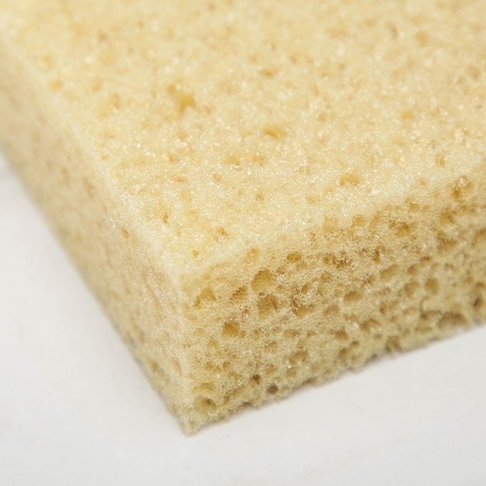 Губка для тела мягкая «Губка морская», 20×11,5×5 см Губка для тела мягкая «Губка морская», 20×11,5×5 см