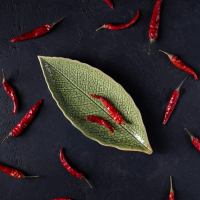 Блюдо керамическое сервировочное &laquo;Дендрарий&raquo;, 20,5&times;8,5&times;1,5 см, цвет зелёный