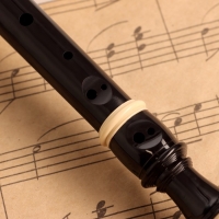 Блокфлейта Music Life, 8 отверстий, черный чехол, шомпол, 30 см Блокфлейта Music Life, 8 отверстий, черный чехол, шомпол, 30 см