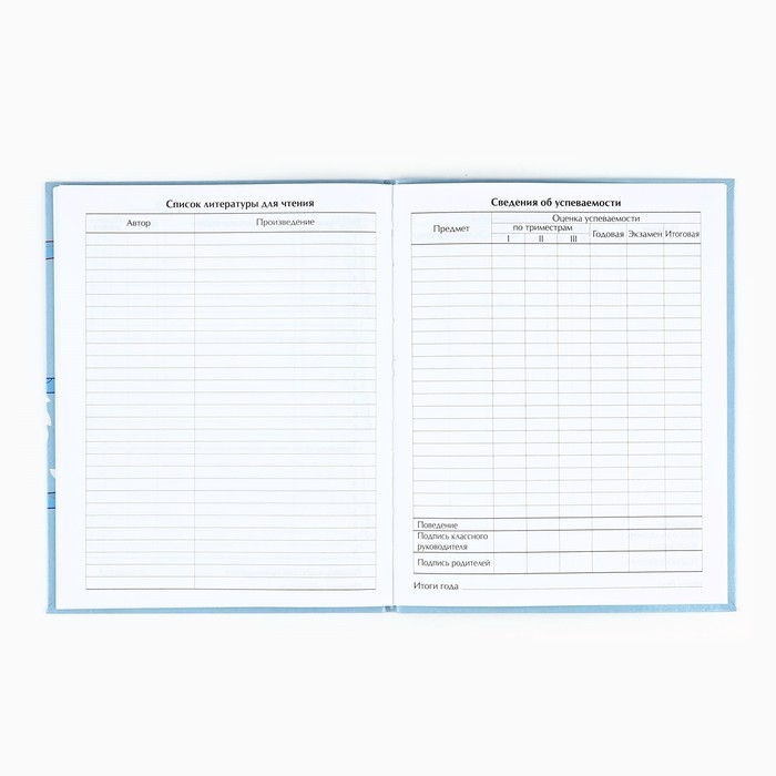Дневник школьный для 1-11 класса, в интегральной обложке, 40 л. «1 сентября:Панда» Дневник школьный для 1-11 класса, в интегральной обложке, 40 л. «1 сентября:Панда»