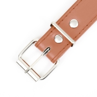 Ошейник "Сириус", кожзам с заклёпками, 56 х 3 см, ОШ 42-52, коричневый Ошейник "Сириус", кожзам с заклёпками, 56 х 3 см, ОШ 42-52, коричневый