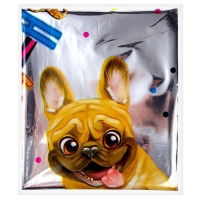 Воздушный шар фольгированный 18" &laquo;С др, песик&raquo; круг