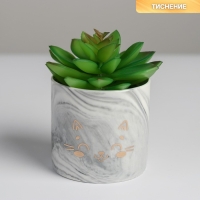 Горшок для цветов керамический с тиснением, кашпо &laquo;Котик&raquo;, 8 х 7,5 см