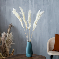 Сухоцвет &laquo;Пампасная трава&raquo; набор 5 шт., цвет бежевый