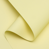 Плёнка матовая 0,5 x 10 м 65 мкм, пастельная серия, желтый Плёнка матовая 0,5 x 10 м 65 мкм, пастельная серия, желтый