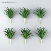 Искусственный суккулент для создания флорариума "Гастерия трехгранная" 7 см Искусственный суккулент для создания флорариума "Гастерия трехгранная" 7 см