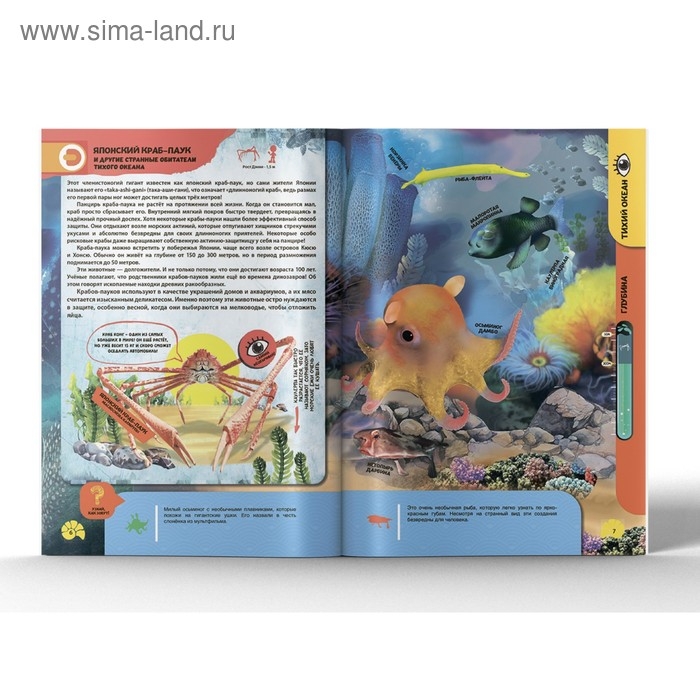 Энциклопедия 4D в дополненной реальности &laquo;Подводные жители&raquo;