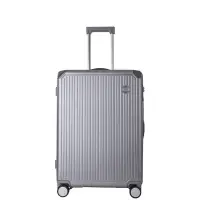 Чемодан Shogun M, серебристый